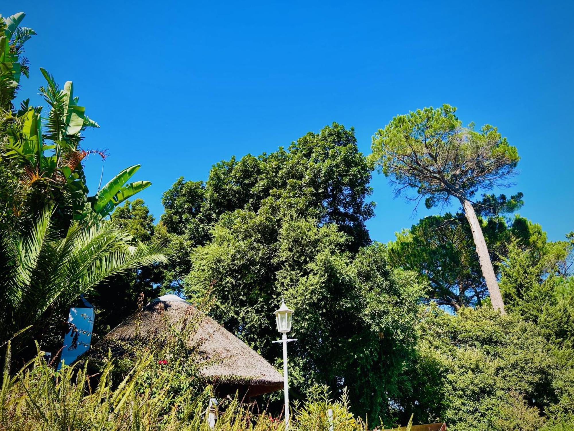 Villa Helderberg Somerset West Exterior foto